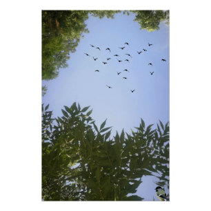 Nature Blue Sky With Birds & Tree Poster