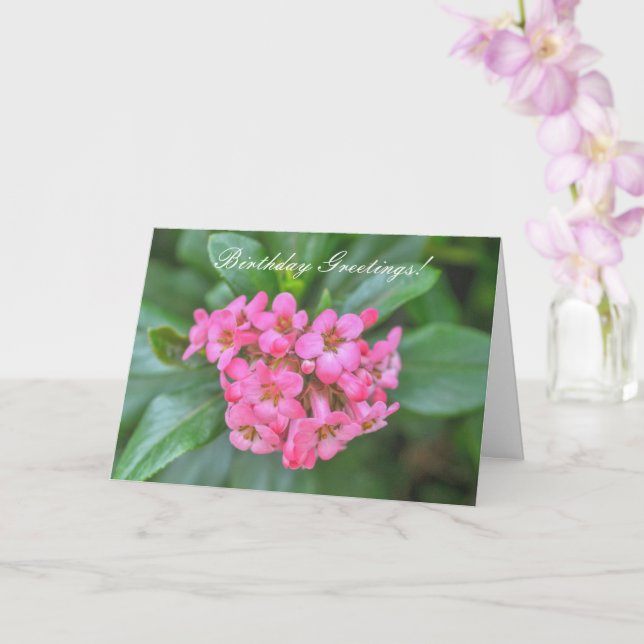 Nature Bouquet of Pink Dainty Flowers Birthday Card (Orchid)