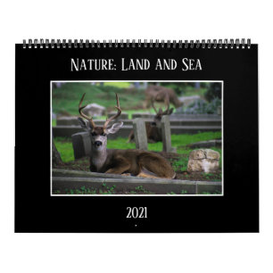 Nature : Calendrier 2021 sur la terre et la mer