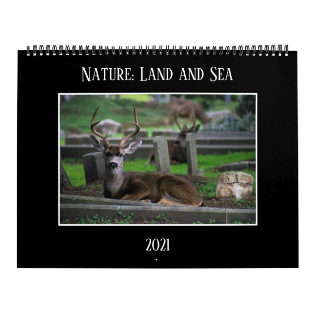 Nature : Calendrier 2021 sur la terre et la mer (Protection)