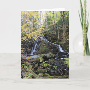 Nature Card