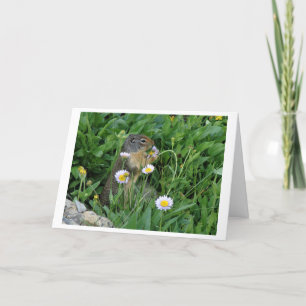 Nature Climate Note Card