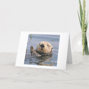 Nature Climate Note Card