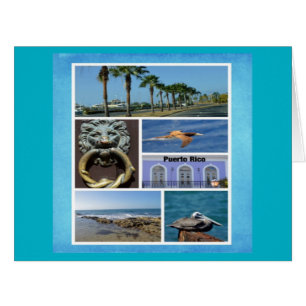 Nature collage of San Juan, Porto Rico