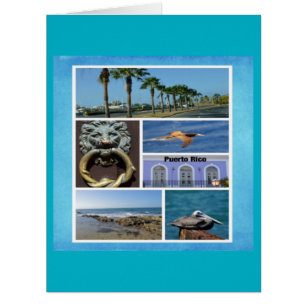 Nature collage of San Juan, Porto Rico