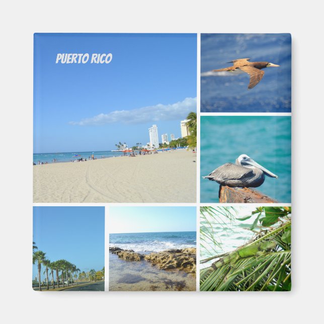 Nature collage of San Juan, Puerto Rico  Magnet (Front)
