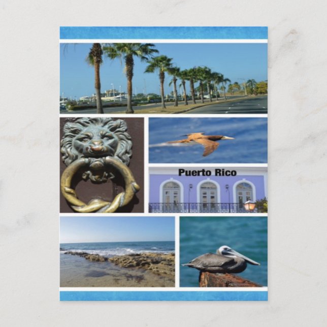 Nature collage of San Juan, Puerto Rico Postcard (Front)