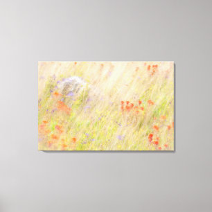 Nature Conservancy   San Juan Islands, WA Canvas Print