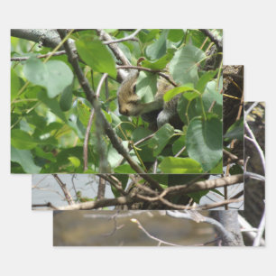 Nature Critters Wrapping Paper Sheets