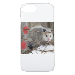 Nature de l'Opossum coque iphone