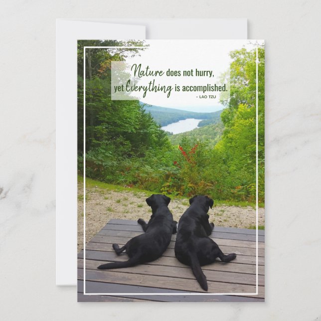 Nature Does Not Hurry Inspirational Life Quote Card (Front)
