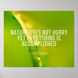 Nature Does Not Hurry Inspirational Quote Poster