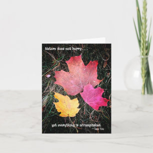 Nature doesn't hurry - everything is accomplished! card