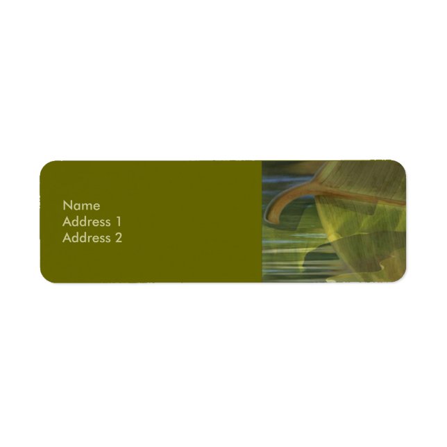 Nature en équilibre Étiquette (Devant)