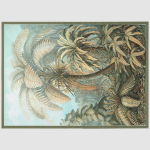 Nature Fern Ernst Haeckel Decoupage Tissue Paper