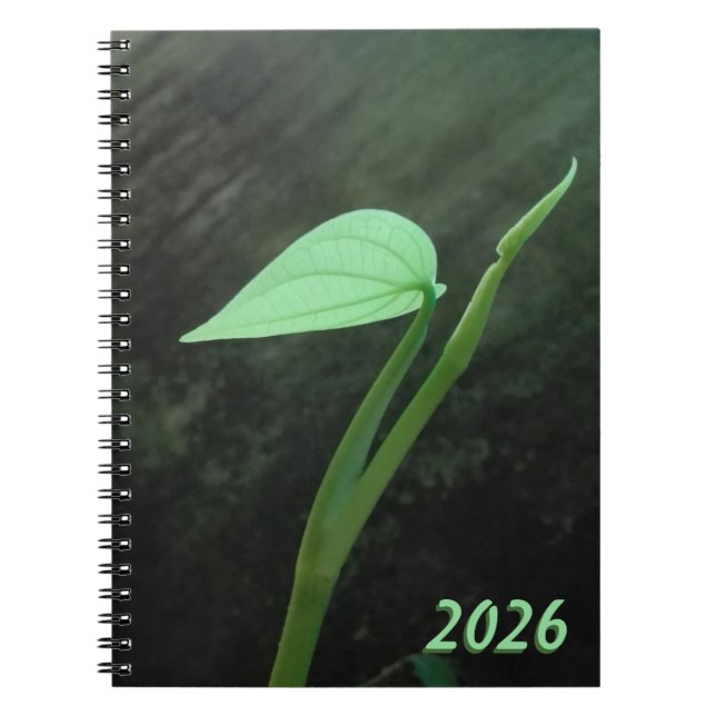 NATURE FLOWER ART FOR GIFT 2026 NOTEBOOK (Front)
