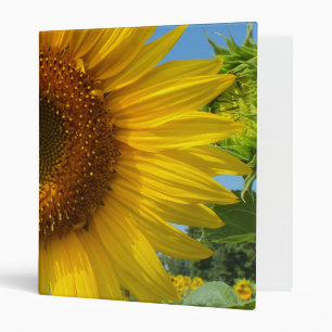 nature, flower, summer, sunflower, blossom, floral binder
