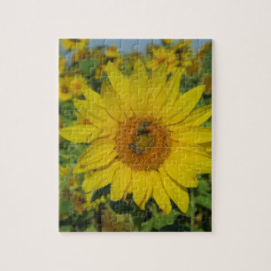 nature, flower, summer, sunflower, blossom, floral jigsaw puzzle