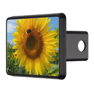 nature, flower, summer, sunflower, blossom, floral trailer hitch cover
