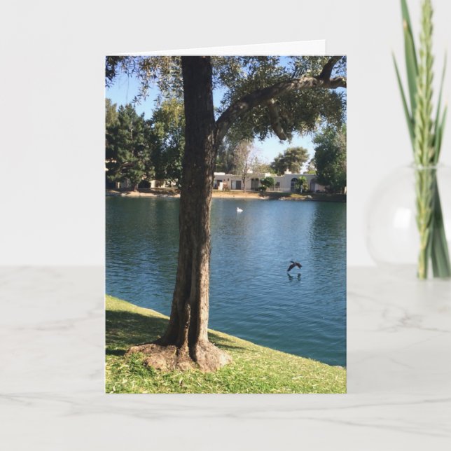 Nature Flying Happy Birthday Brother Card (Front)