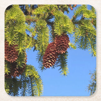 Nature forest photo coaster with branch