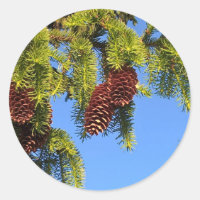 Nature forest photo sticker with branches