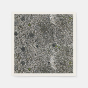 Nature Granite Rock with Green Moss Napkin