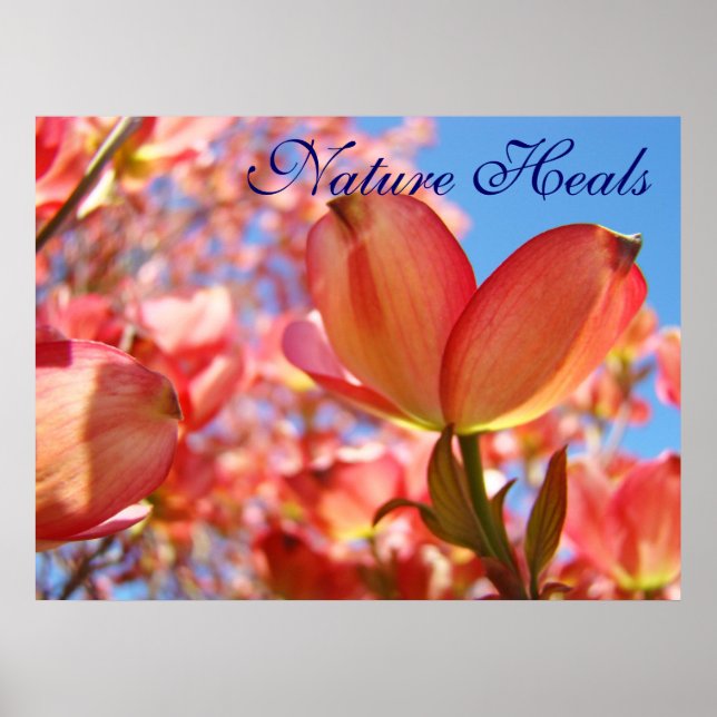 Nature Heals art prints Blue sky Floral Dogwood (Front)