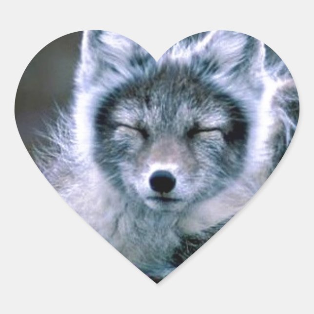 Nature Heart Sticker (Front)