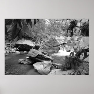 Nature in black & white poster