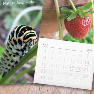 Nature Inspiration Photo Calendar