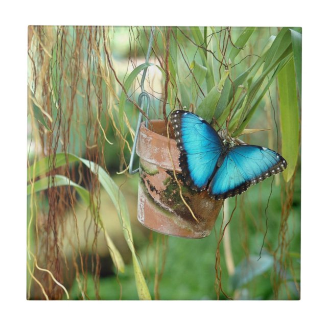 Nature Inspirations Bright Blue Butterfly Tile (Front)
