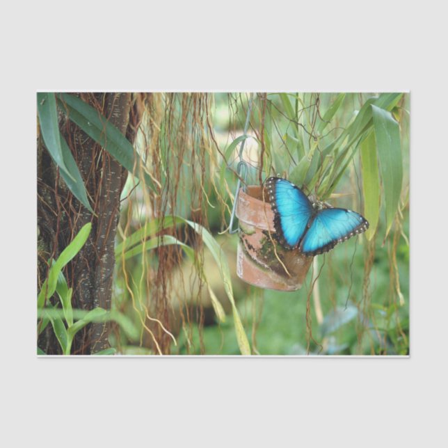 Nature Inspirations Bright Blue Butterfly Tissue Paper (Front)