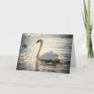 Nature Inspirations Elegant Swan Greeting Card