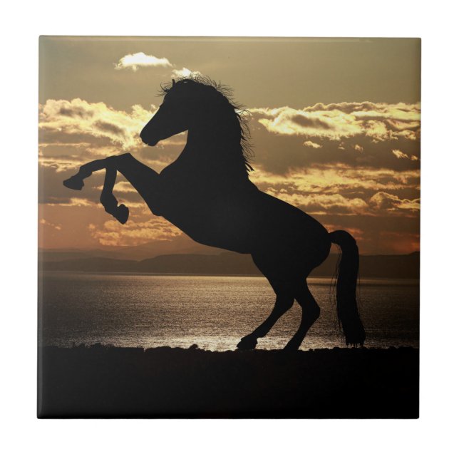 Nature Inspirations Horse Silhouette  Tile (Front)