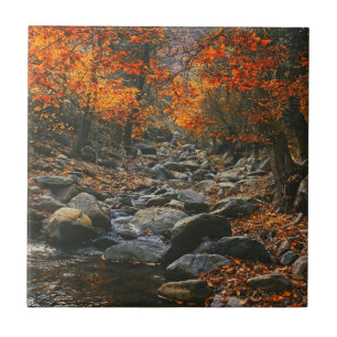 Nature Inspirations Romania, Autumn Forest Tile