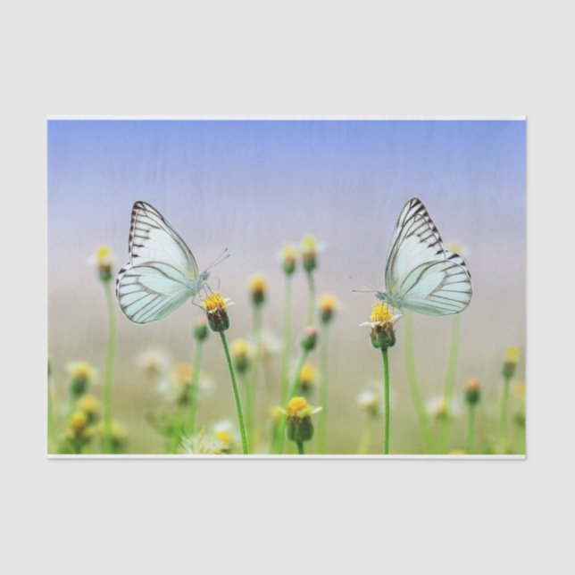 Nature Inspirations White Twin Butterflies  Tissue Paper (Front)