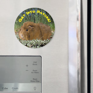 Nature Inspired Cute Guinea Pig Photo Template Magnet