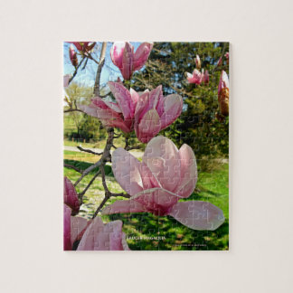 Nature-Inspired Pink Saucer Magnolia Bloom Jigsaw Puzzle