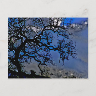 Nature Is Ancient Postcard