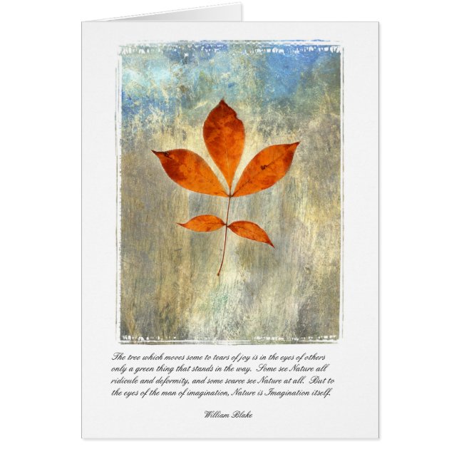 Nature Is Imagination (Front)