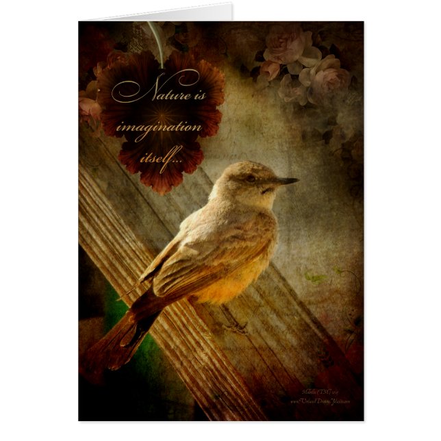 Nature is Imagination (Front)