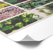 "Nature is the Best Capitialist I Know."