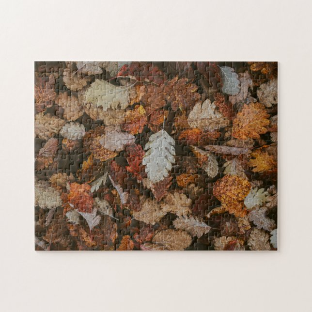 Nature Jigsaw Puzzle Automne Jigsaw Puzzle Puzzle  (Horizontal)