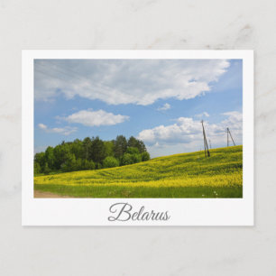 Nature Landscape Canola Field Rural Belarus  Postcard