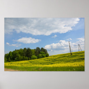 Nature Landscape Canola Field Rural Belarus Poster