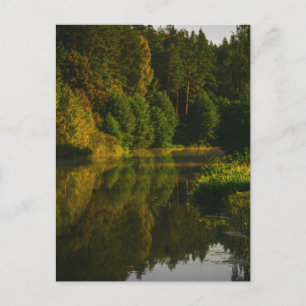 Nature Landscape Lake Scenery Canal Trees Postcard