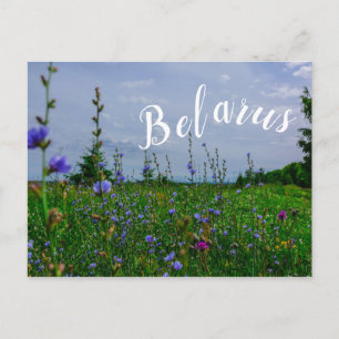 Nature Landscape Rural Scenery Field Belarus Postcard