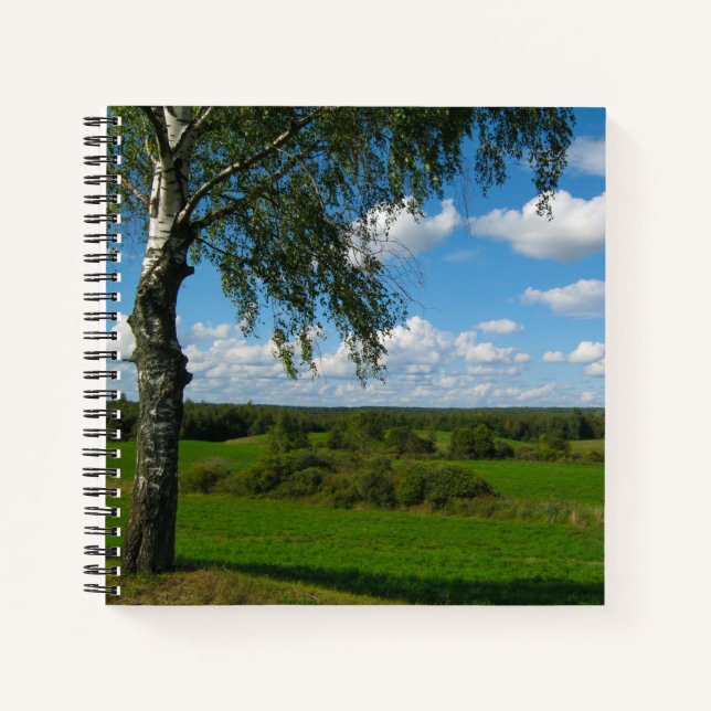 Nature Landscape Scenery Birch Trees Belarus Notebook (Front)