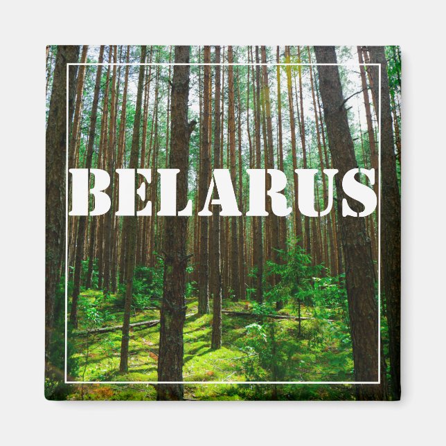 Nature Landscape Scenery Forest Belarus Magnet (Front)